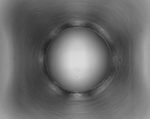 X0000111890265200907301203