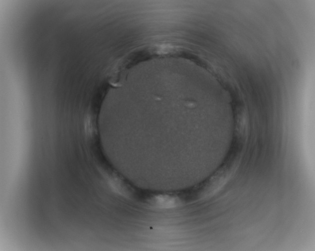 X0000111890272200907301204