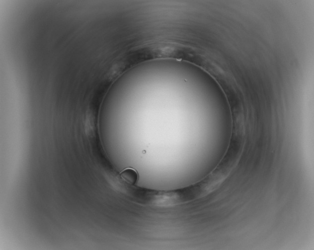 X0000111890274200907301204