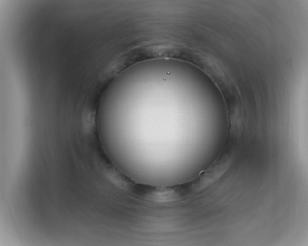 X0000111890278200907301204