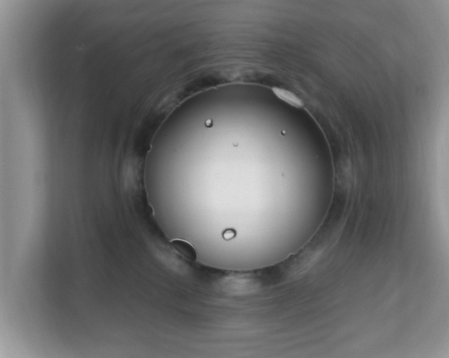 X0000111890280200907301204