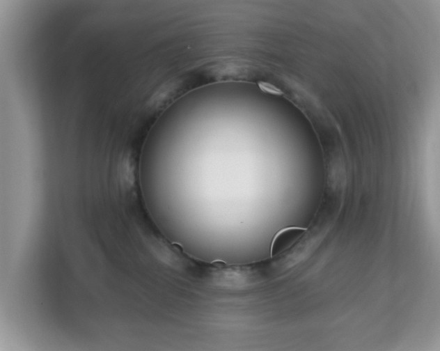 X0000111890282200907301204