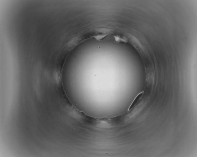 X0000111890285200907301204