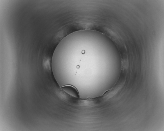 X0000111890286200907301204