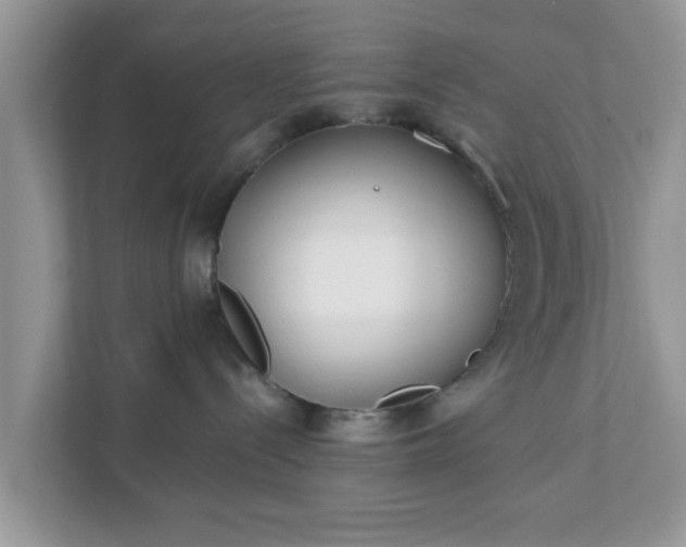 X0000111890288200907301204