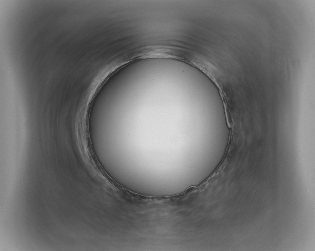 X0000111890289200907301203