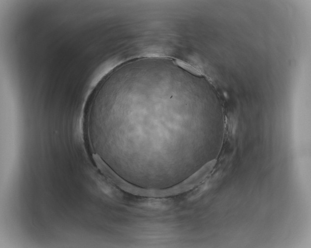 X0000111890292200907301203