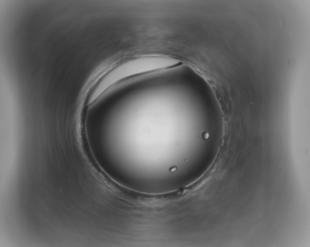 X0000111890293200907301203