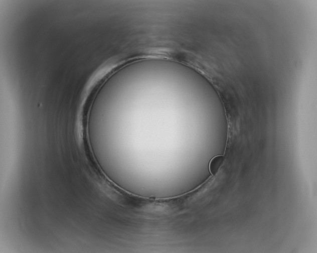 X0000111890294200907301203