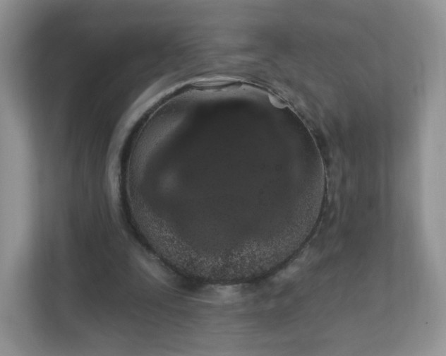 X0000111890295200907301203