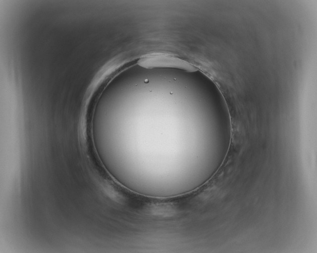 X0000111890296200907301203