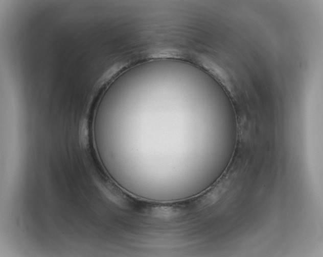 X0000111890298200907301203