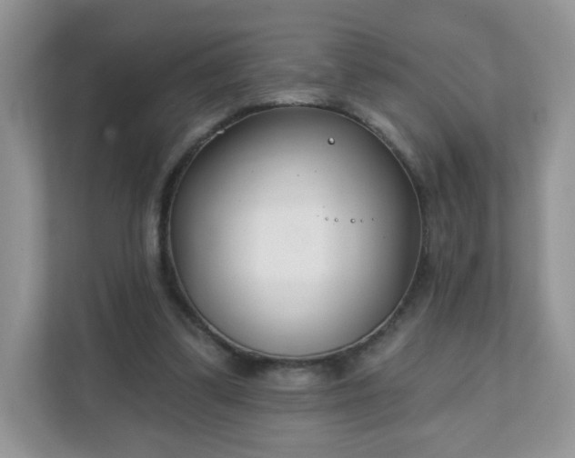 X0000111890299200907301203