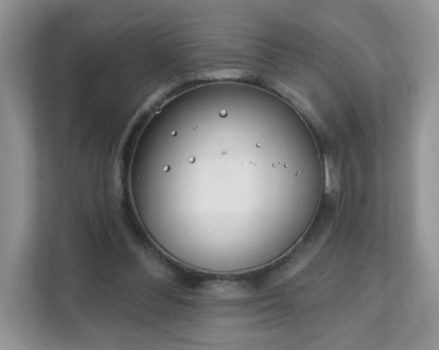 X0000111890300200907301203