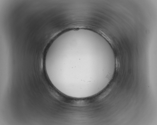 X0000111890301200907301203