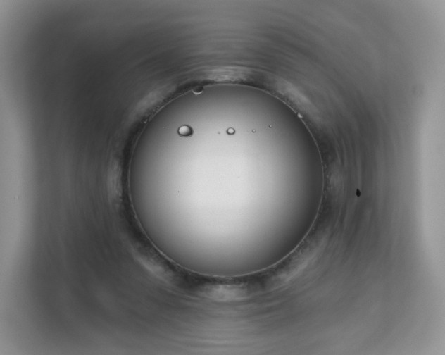 X0000111890303200907301203