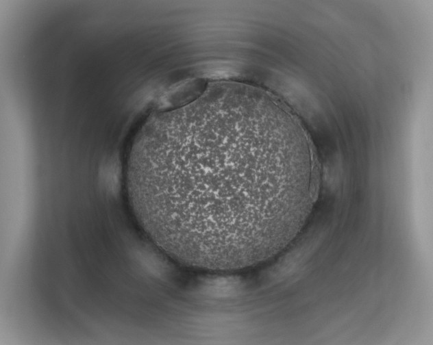 X0000111890304200907301203