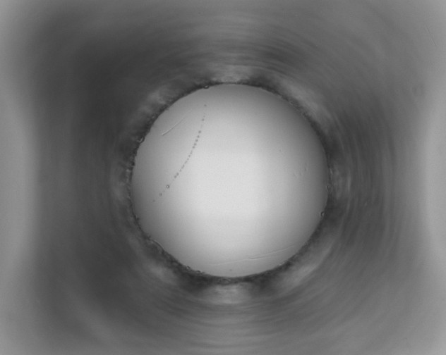 X0000111890307200907301203