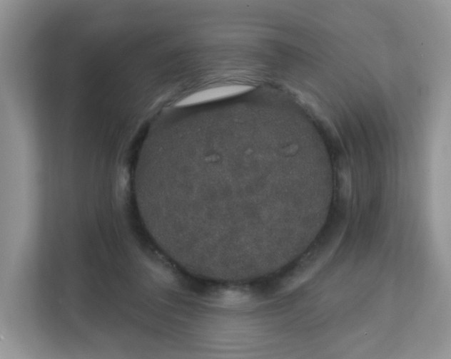 X0000111890308200907301203