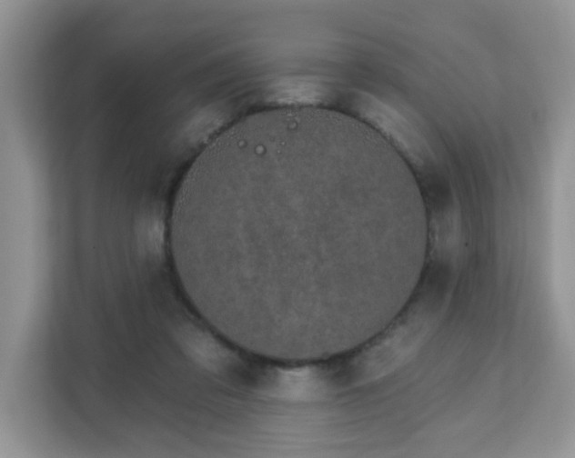 X0000111890309200907301203