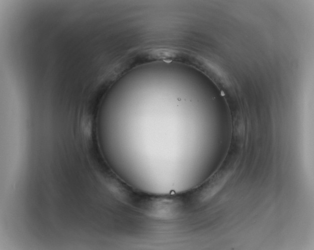 X0000111890315200907301203