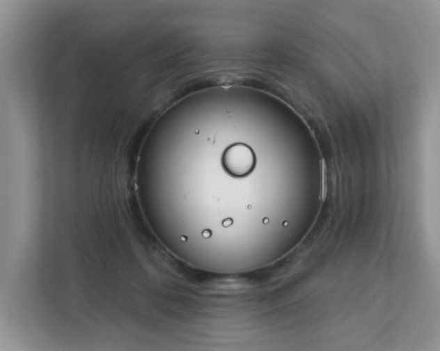 X0000111890316200907301203