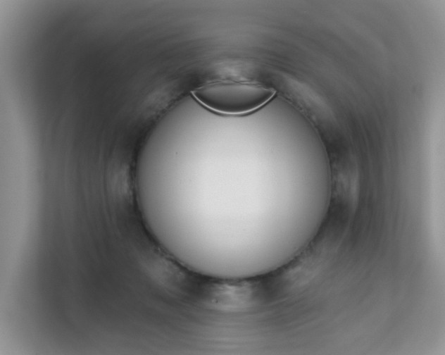 X0000111890317200907301203