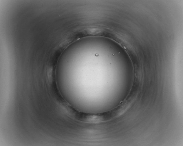 X0000111890319200907301203