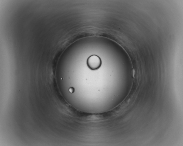 X0000111890320200907301203