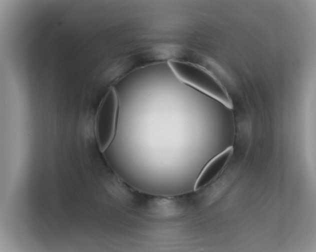 X0000111890325200907301203