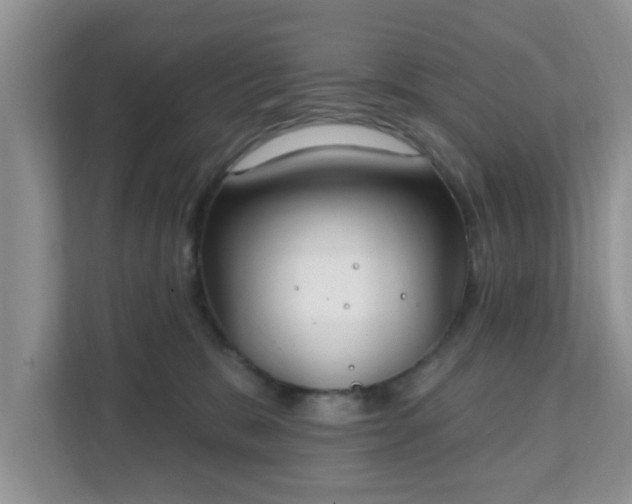 X0000111890327200907301203