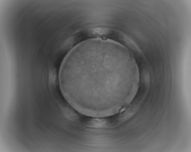 X0000111890328200907301203