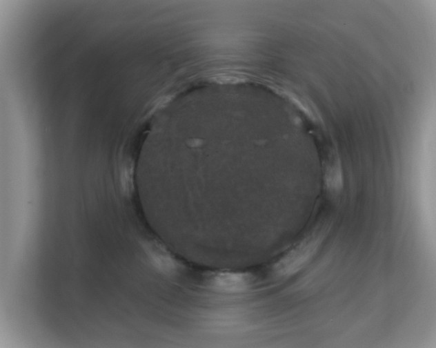 X0000111890332200907301203