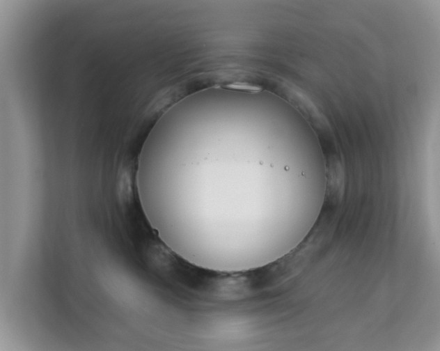 X0000111890333200907301203