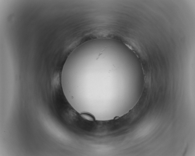 X0000111890335200907301203