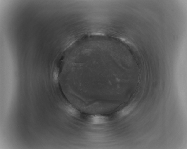 X0000111890336200907301202