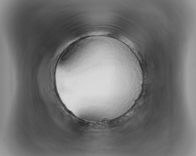 X0000111890337200907301202