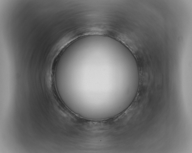 X0000111890338200907301202