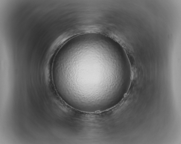 X0000111890339200907301202