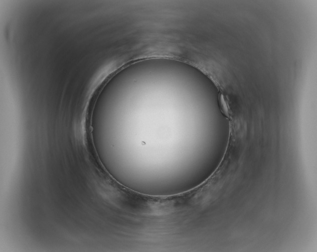 X0000111890340200907301202