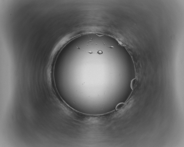 X0000111890341200907301202