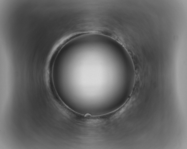 X0000111890342200907301202