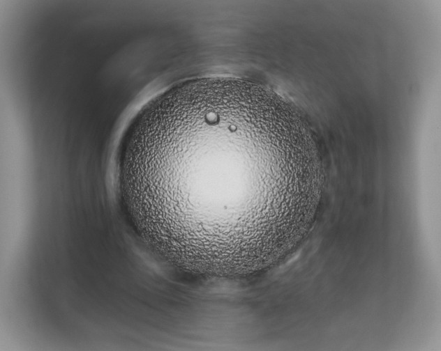 X0000111890343200907301202