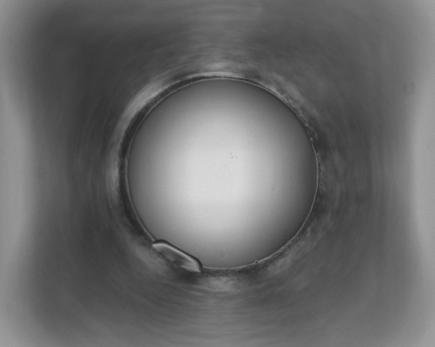 X0000111890344200907301202