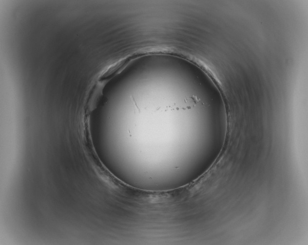 X0000111890345200907301202