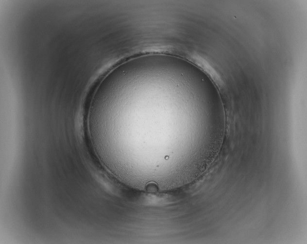 X0000111890346200907301202