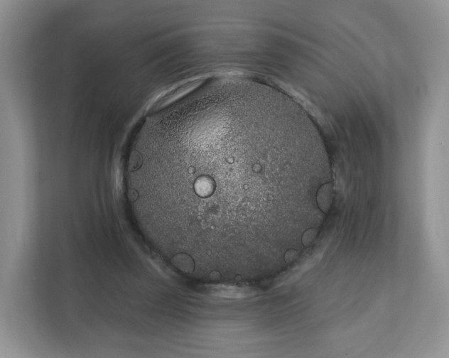 X0000111890347200907301202