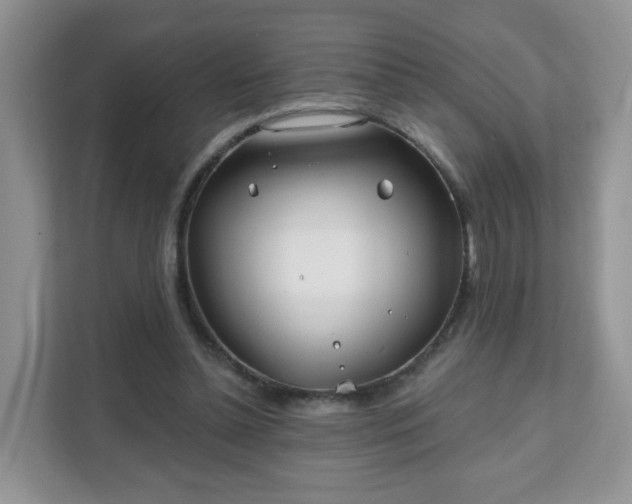 X0000111890348200907301202