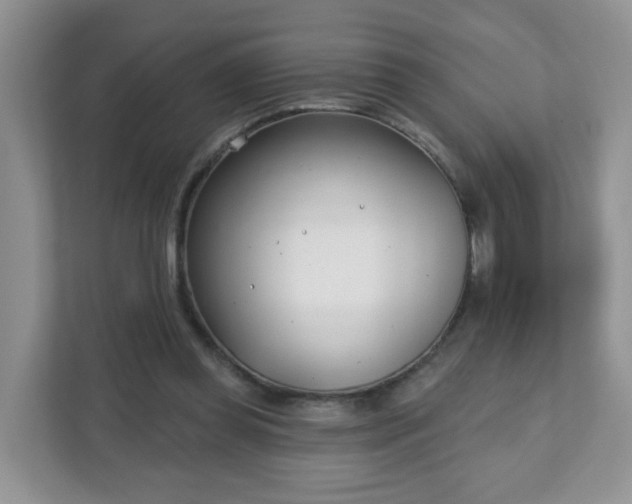 X0000111890349200907301202