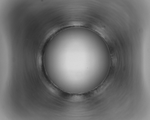 X0000111890350200907301202